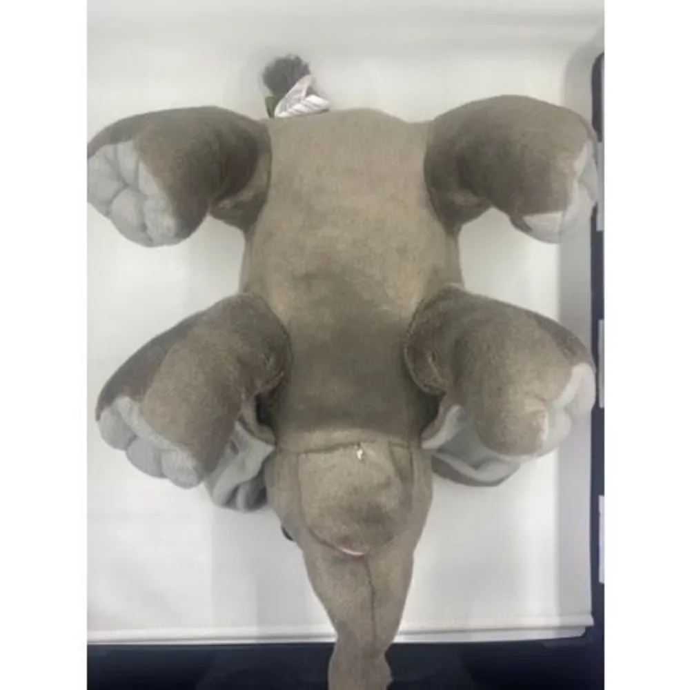 Baby Elephant 12